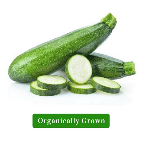 Organic Zucchini Green